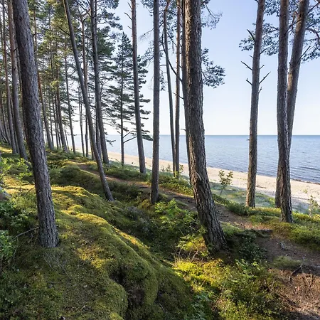 Zum Kliff * Nienhagen