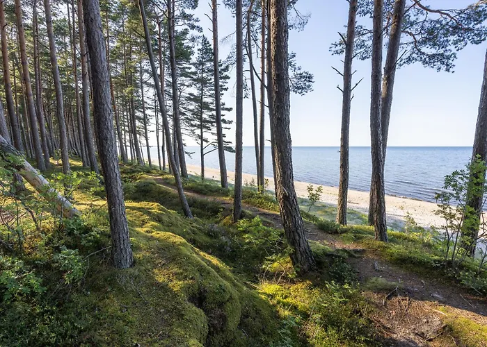 Zum Kliff * אוסטזיבאד נינהאגן